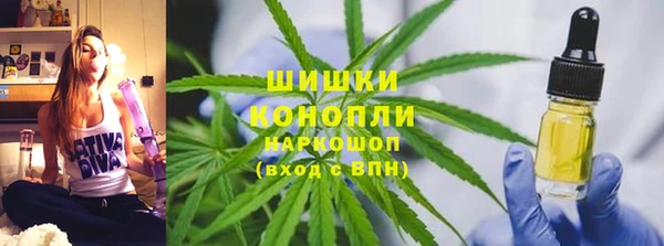 прущие грибы Арсеньев