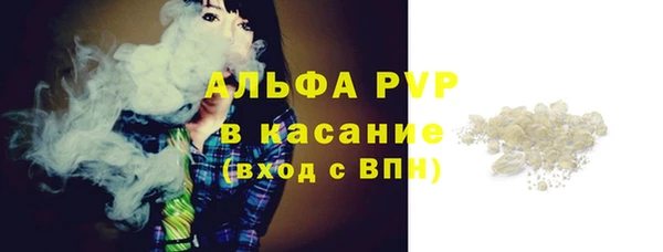 прущие грибы Арсеньев