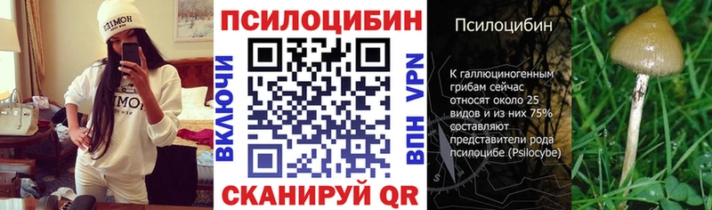 купить закладку  Макушино  Псилоцибиновые грибы Psilocybe 